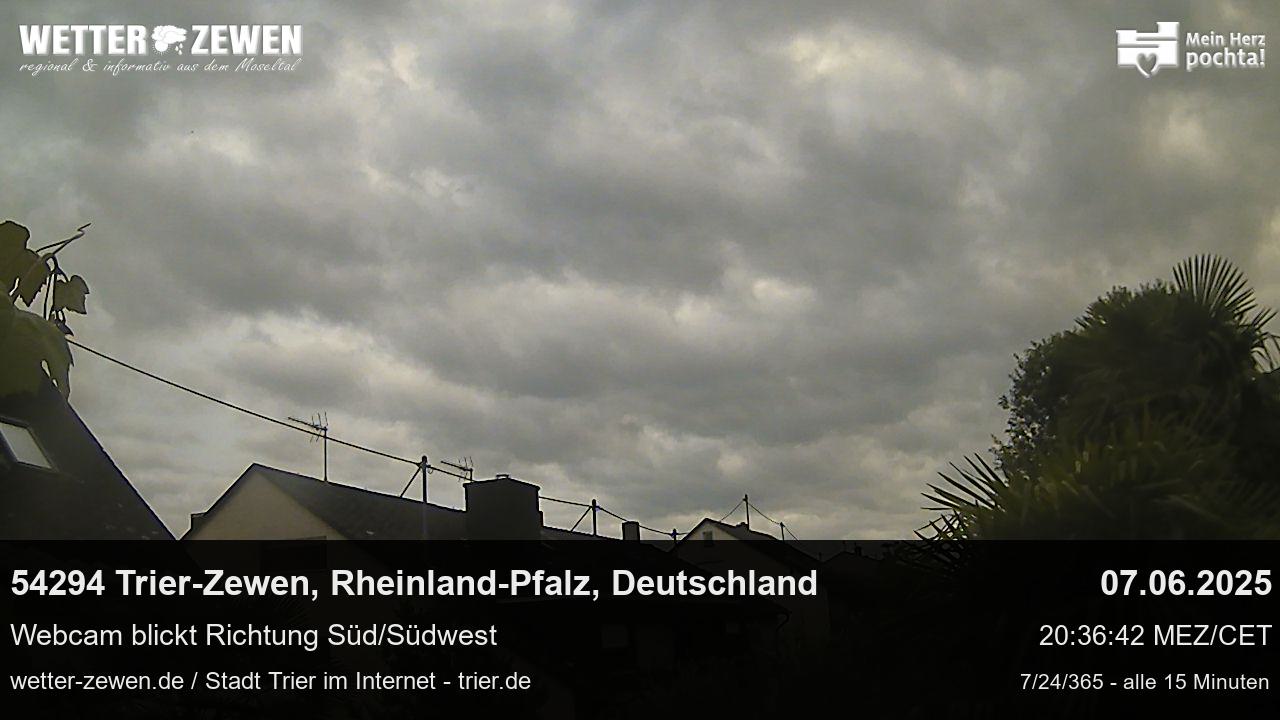 Bild