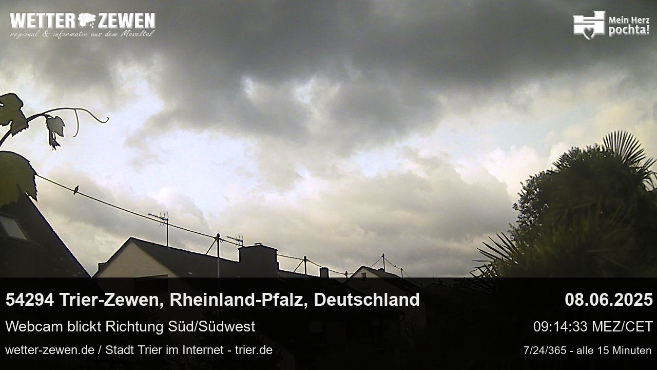 Bild