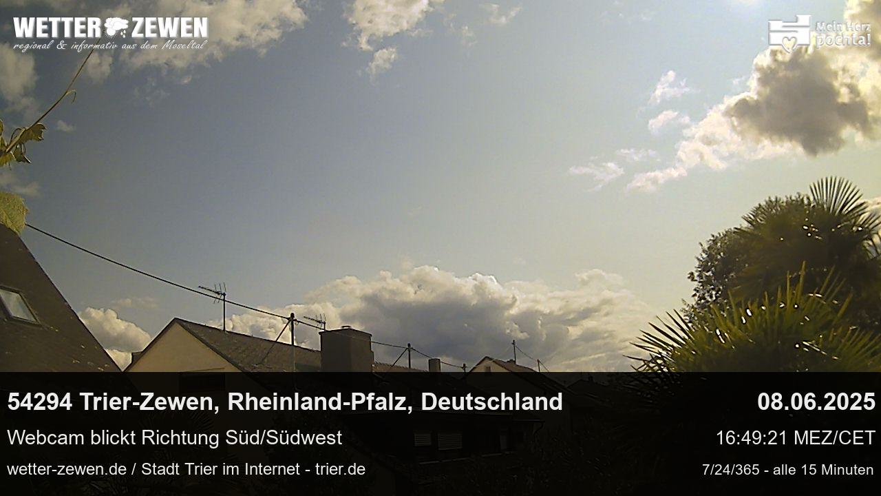 Bild