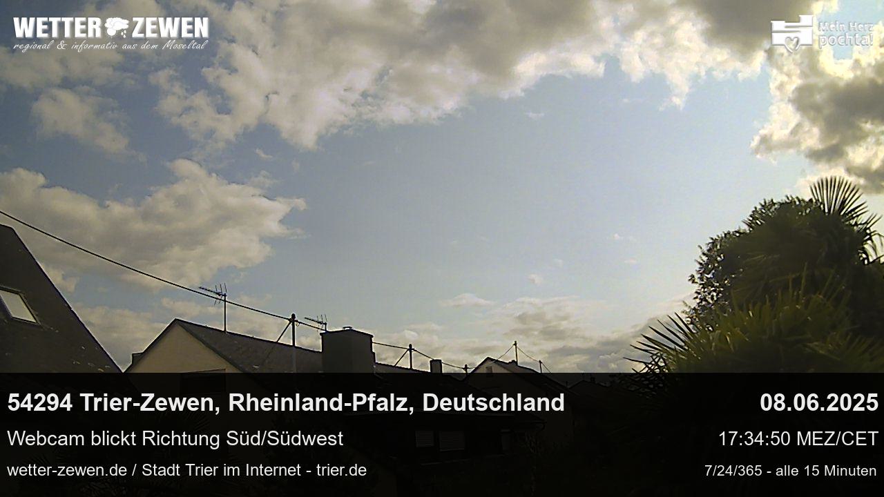 Bild
