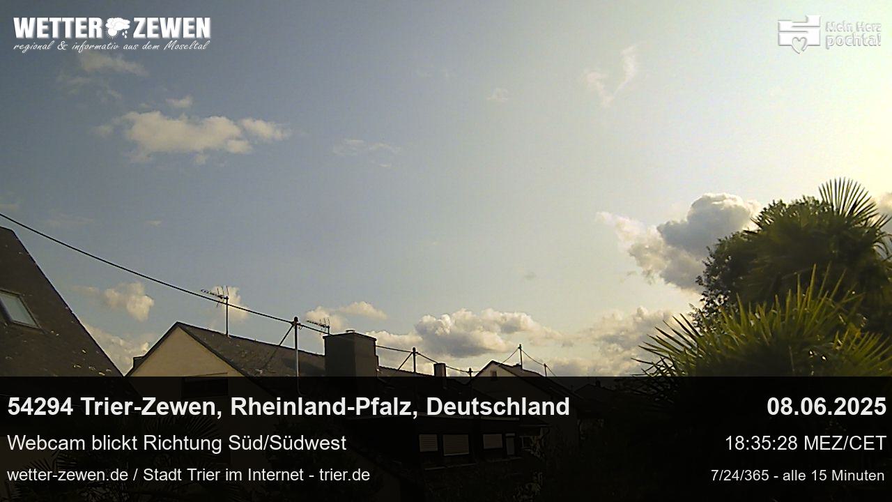 Bild