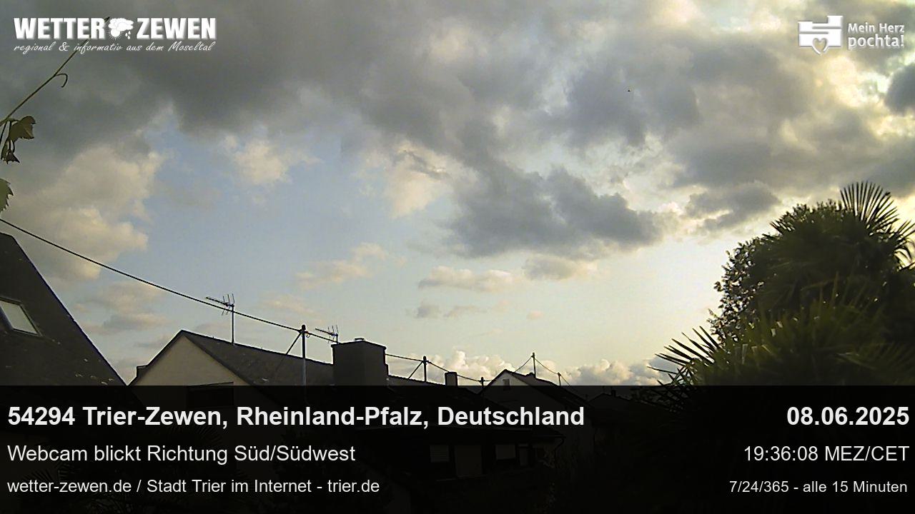 Bild