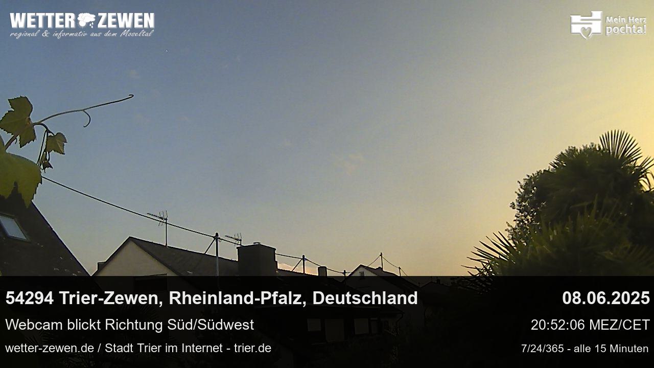 Bild