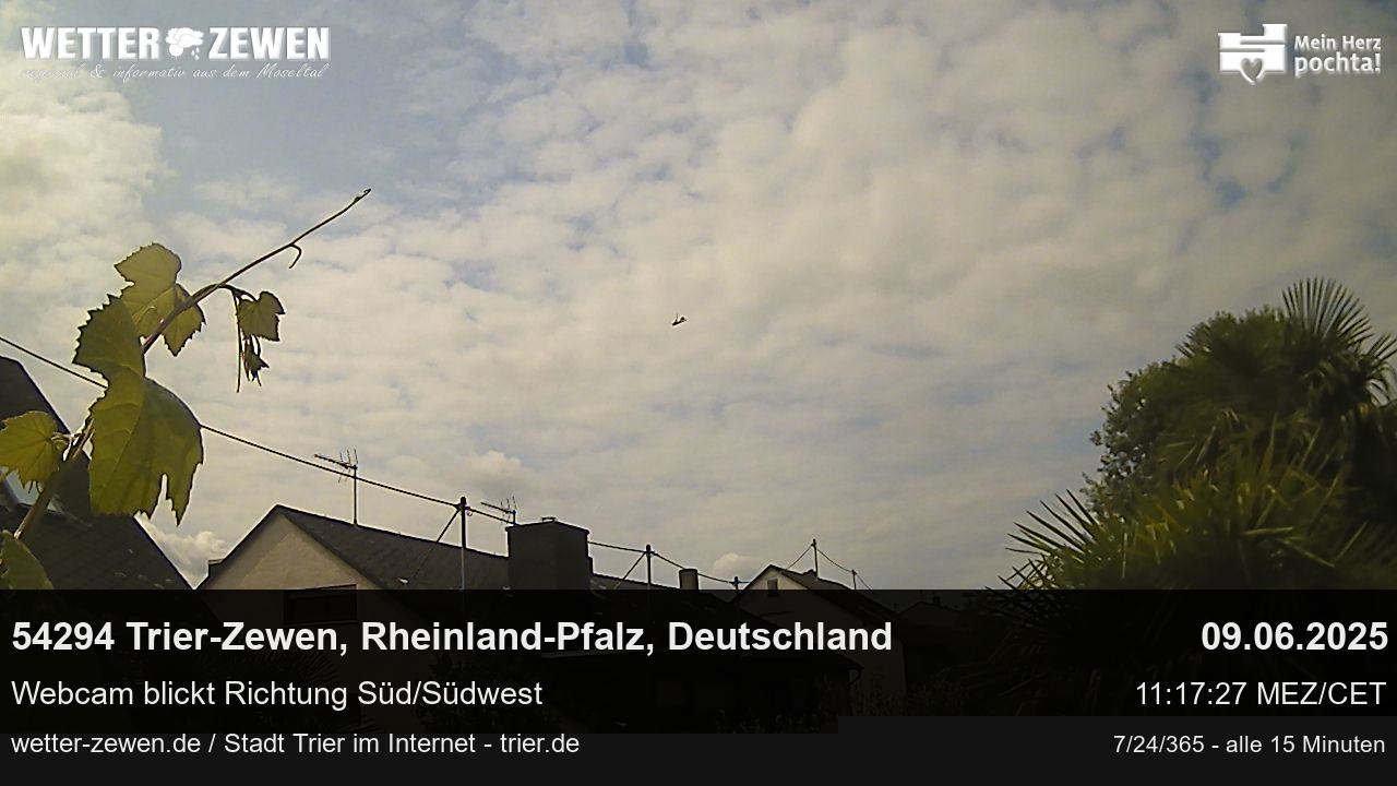 Bild