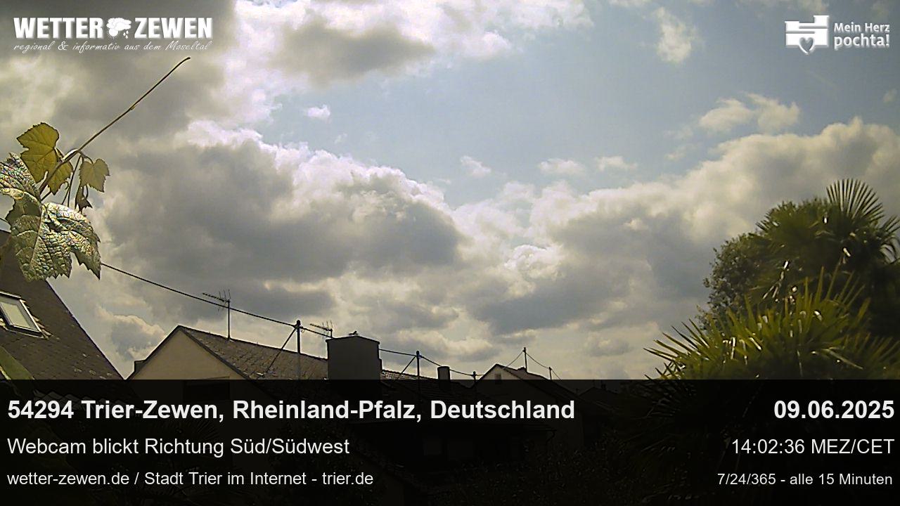 Bild