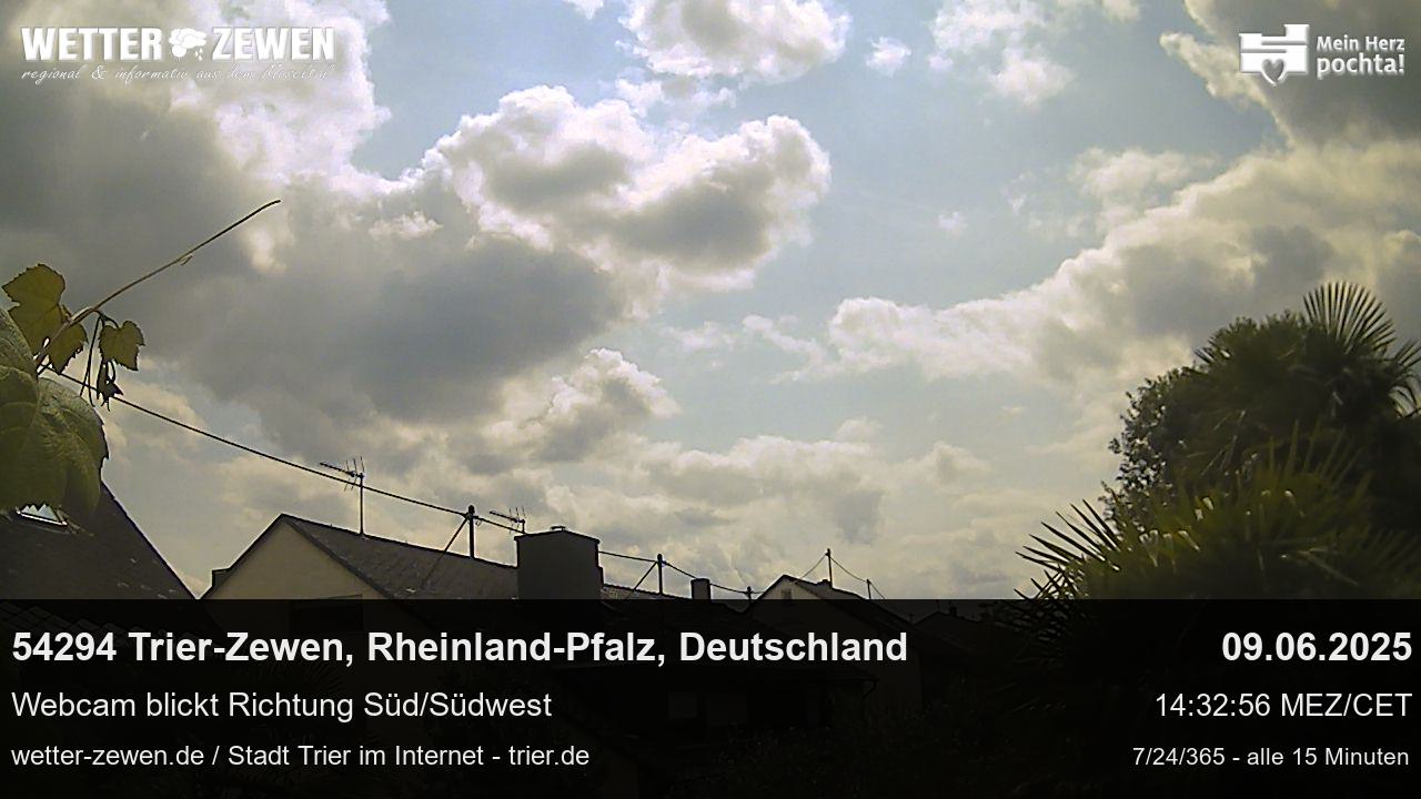 Bild