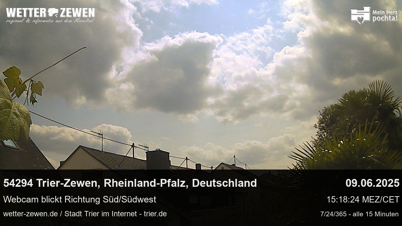 Bild