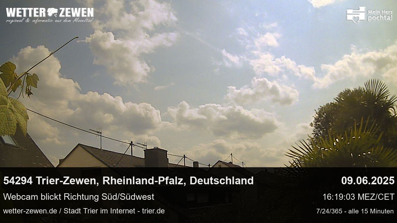 Bild
