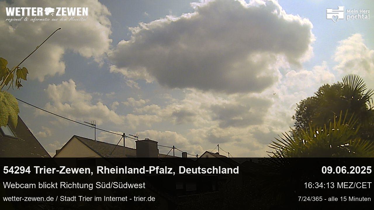 Bild