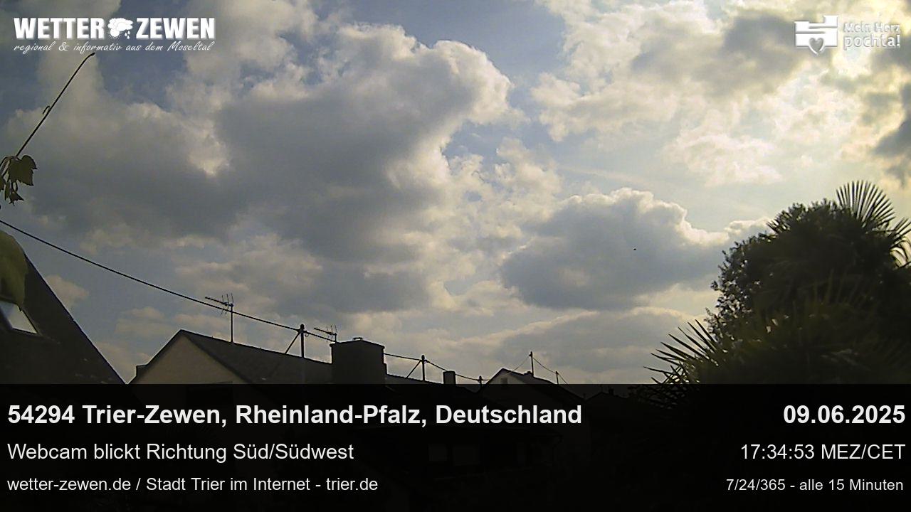 Bild