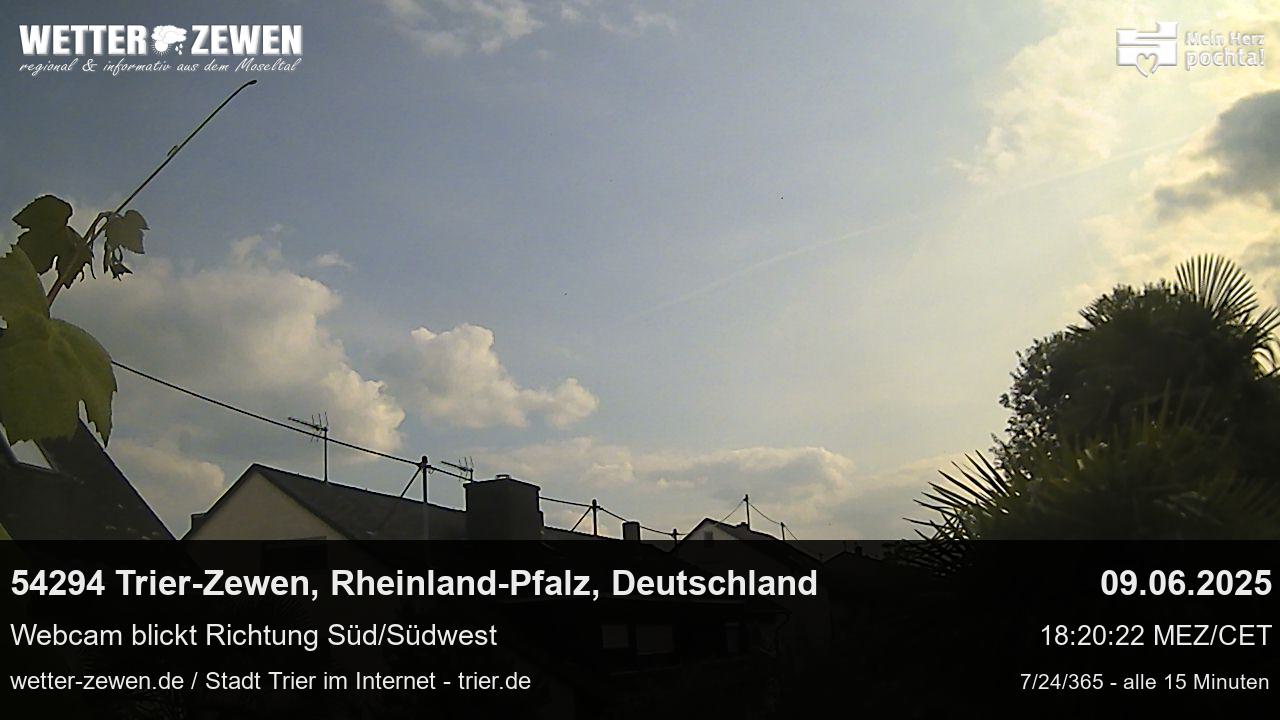 Bild