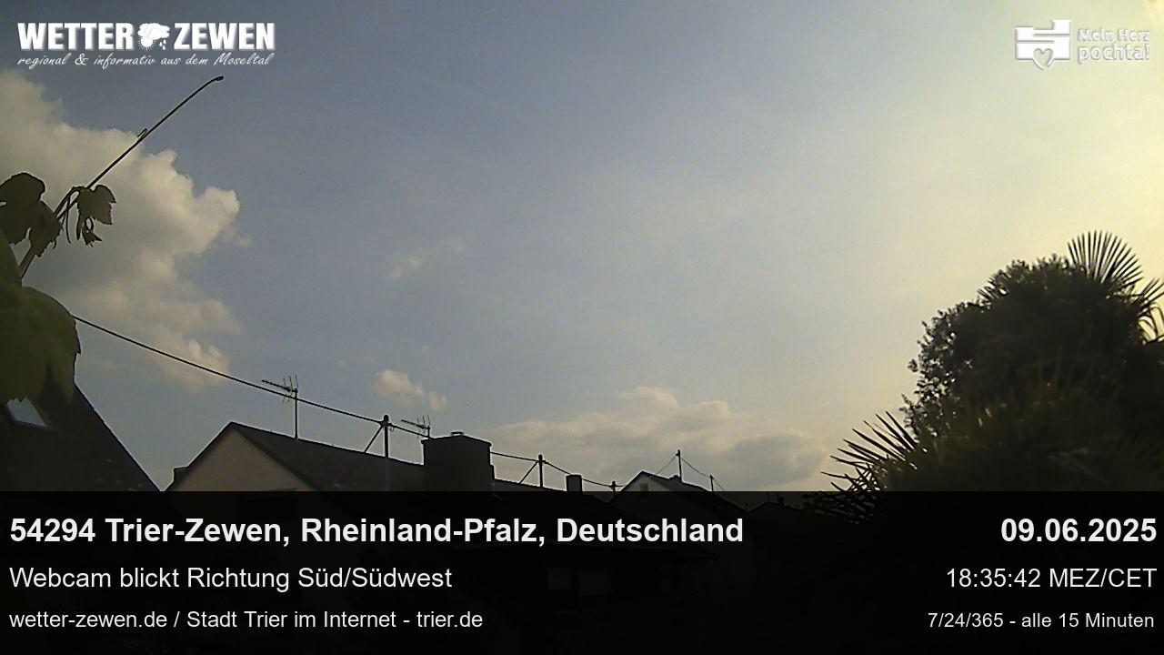 Bild