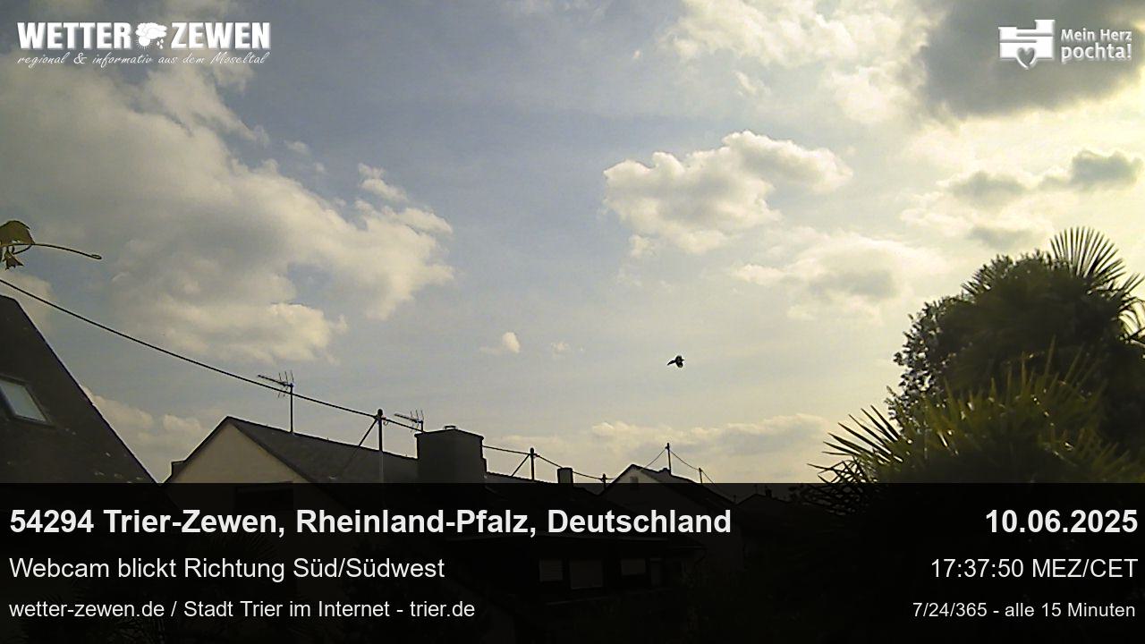 Bild