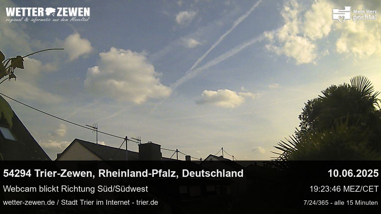 Bild