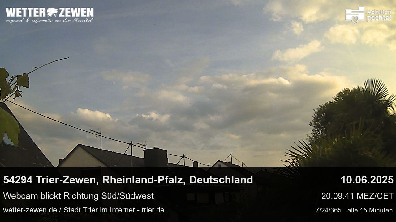Bild