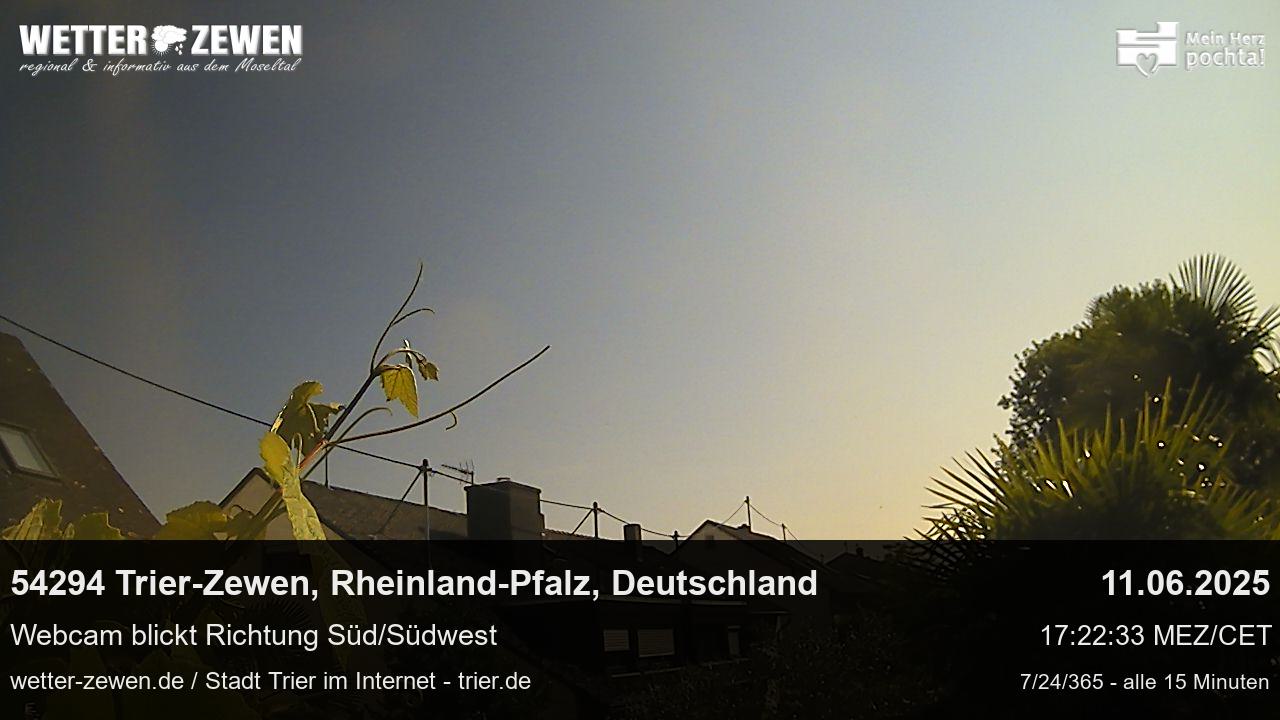 Bild