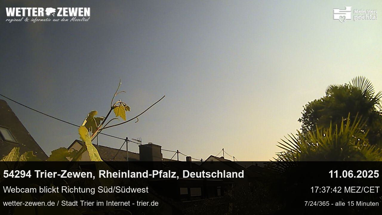 Bild