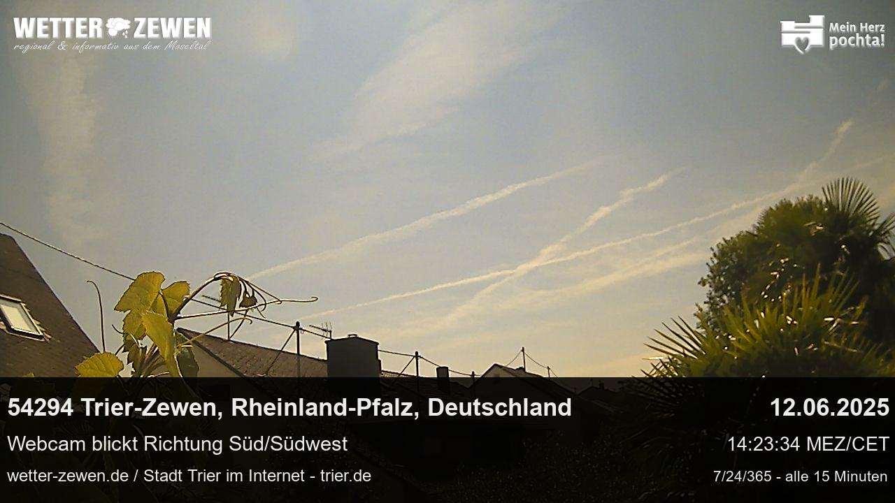 Bild
