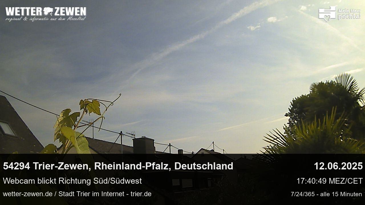 Bild