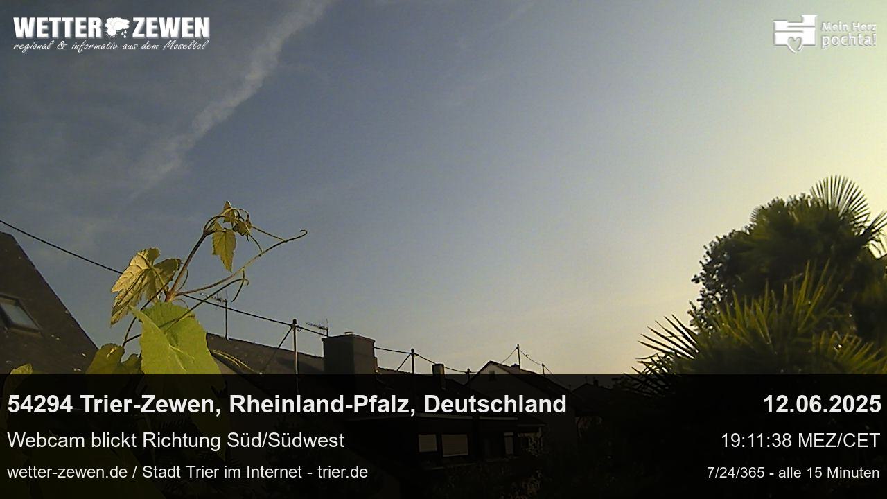 Bild