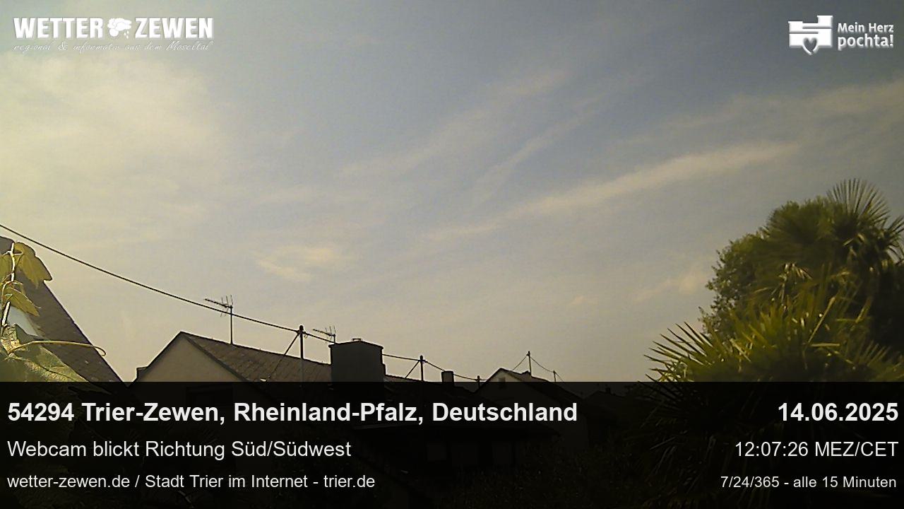Bild