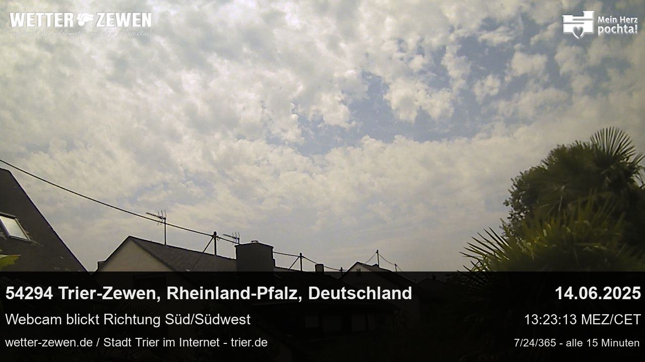 Bild