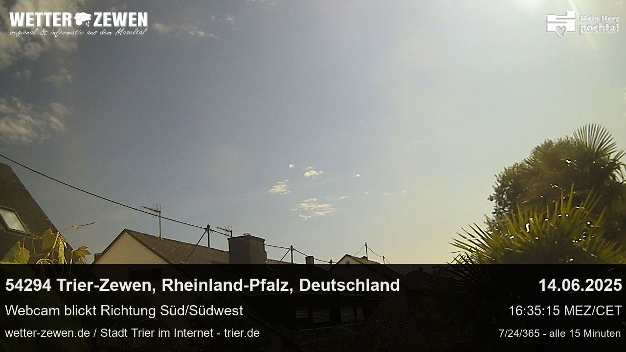 Bild