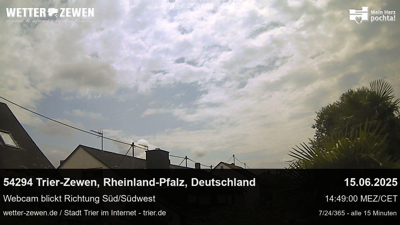 Bild