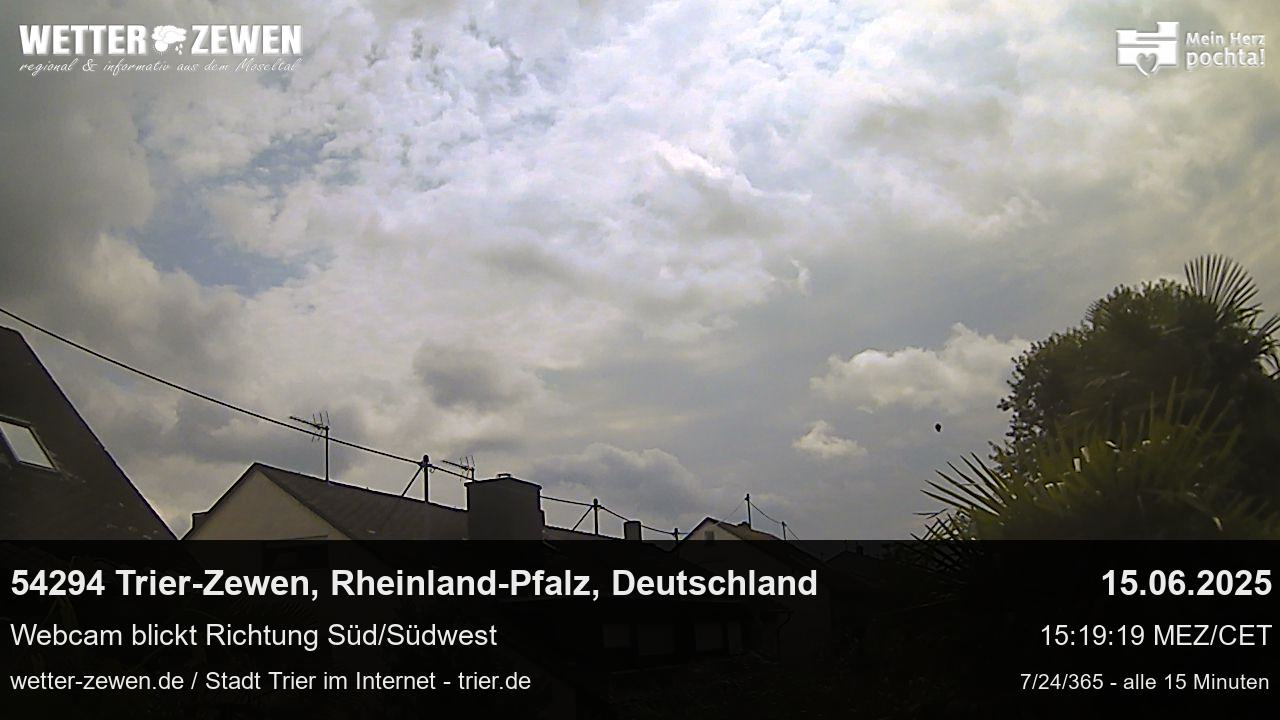Bild