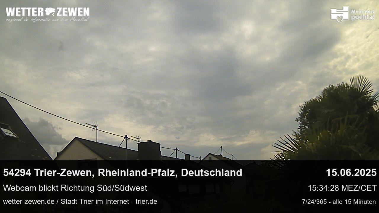 Bild