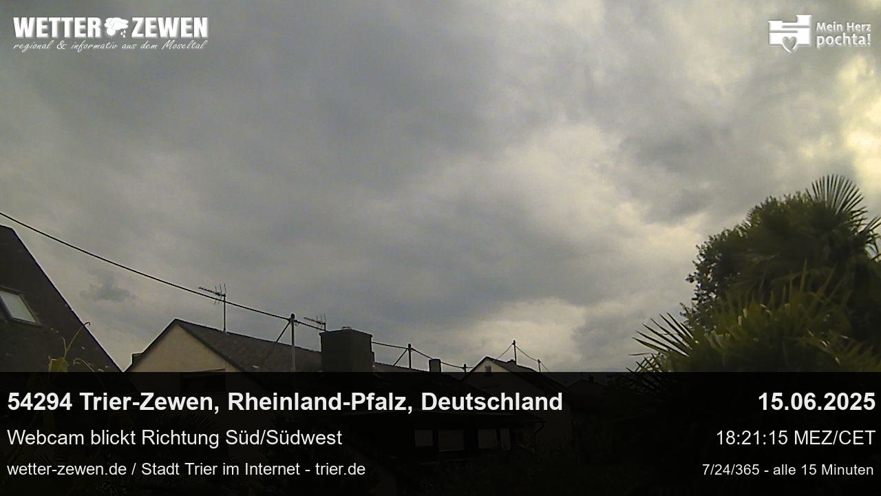 Bild
