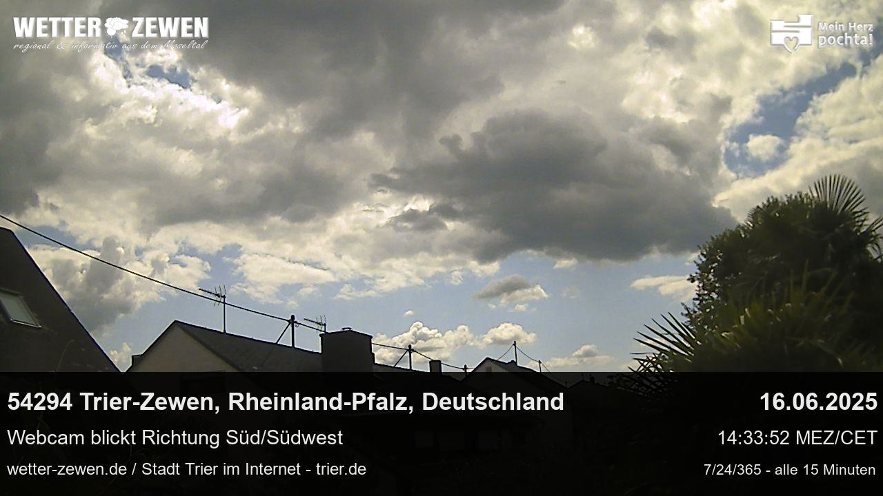 Bild