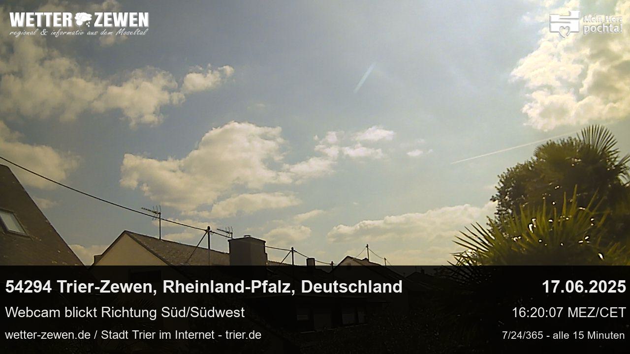 Bild