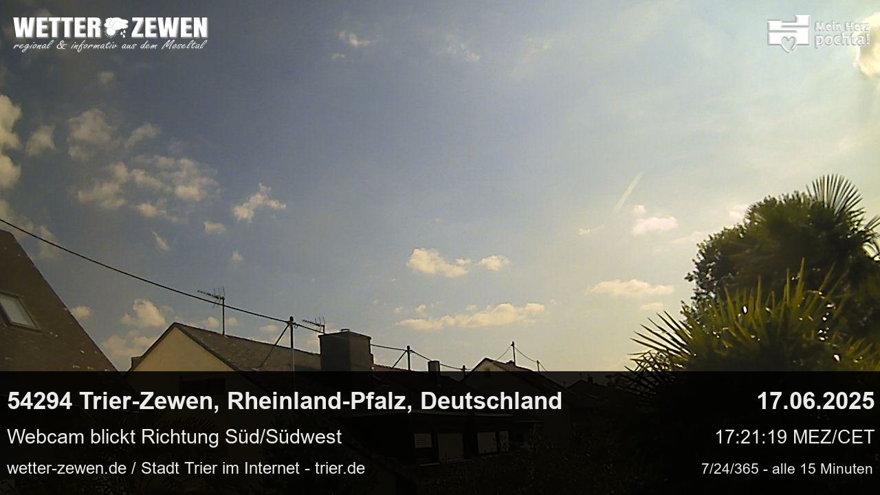 Bild