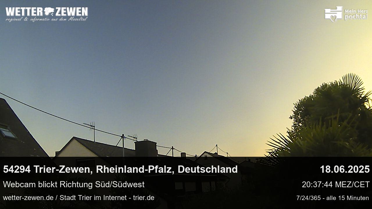 Bild