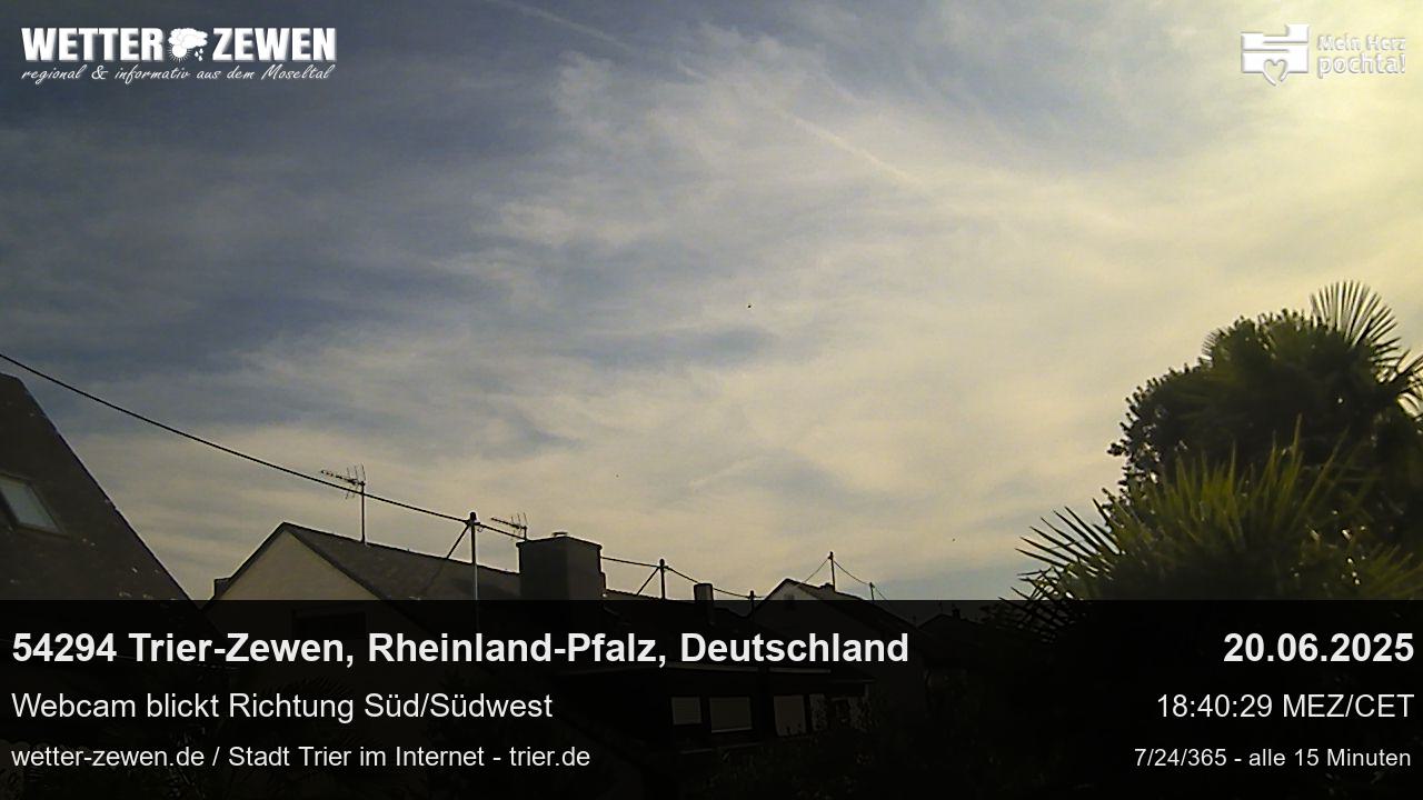 Bild