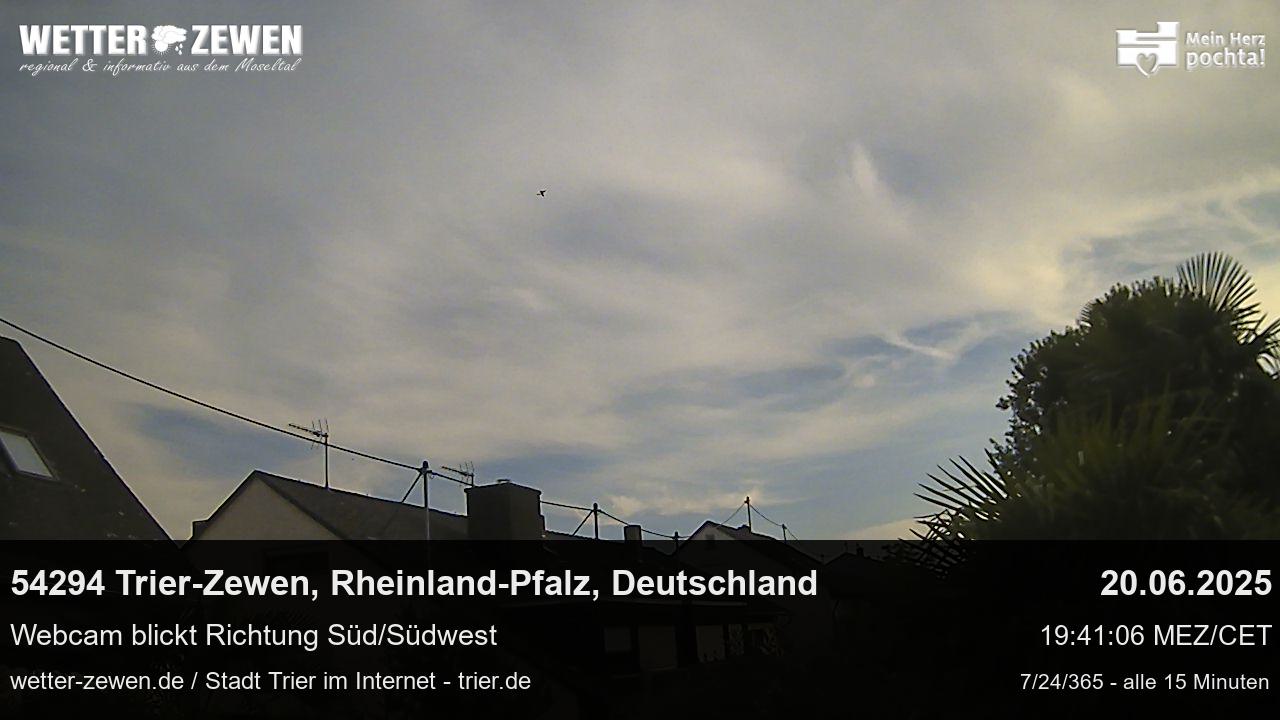 Bild