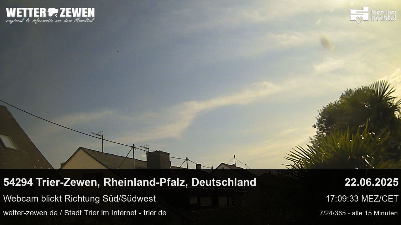 Bild