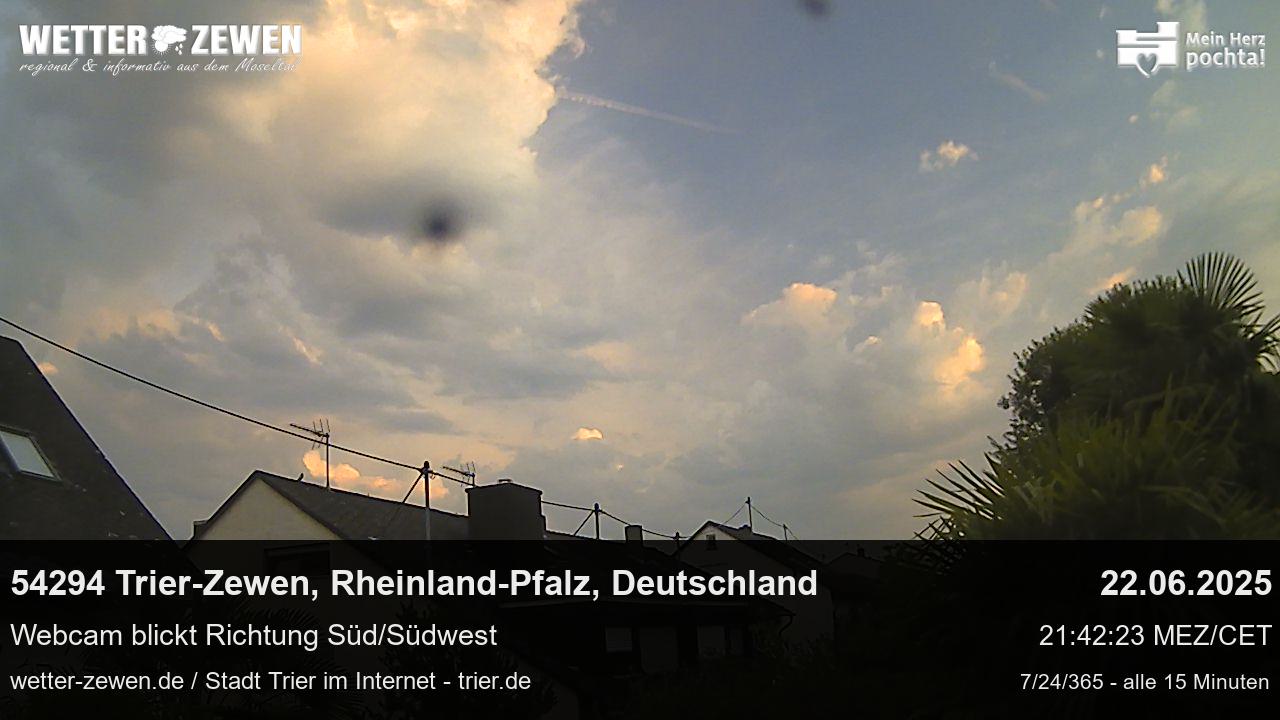 Bild