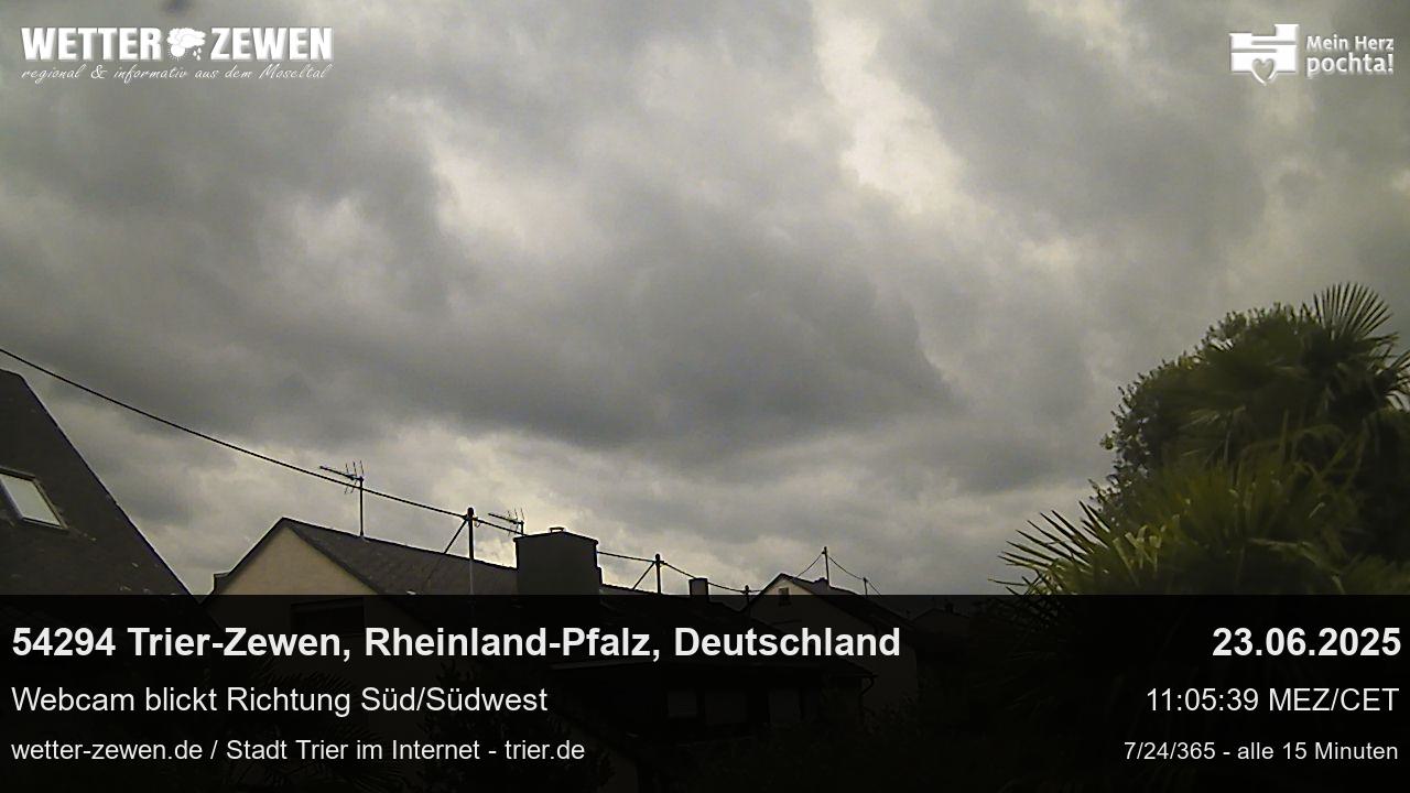 Bild