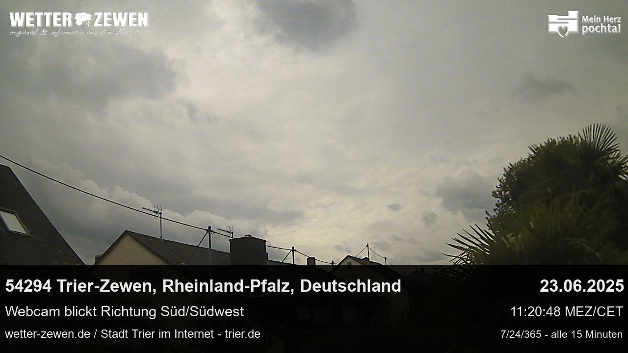 Bild