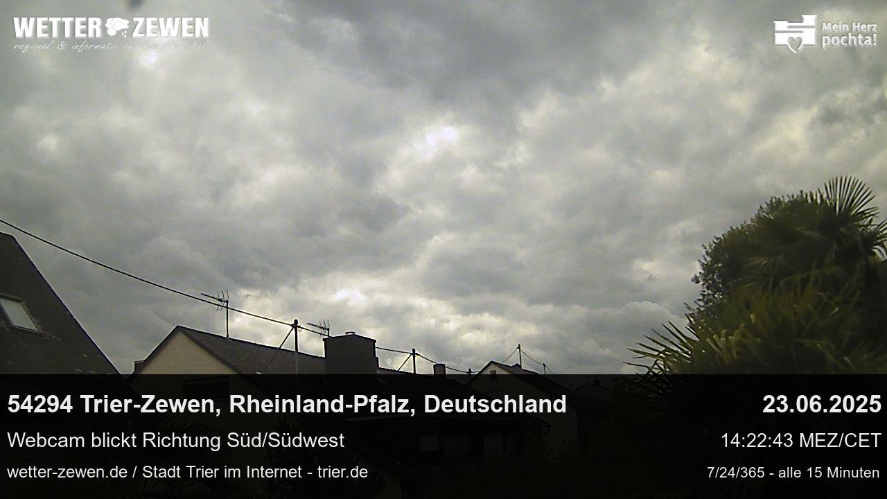 Bild