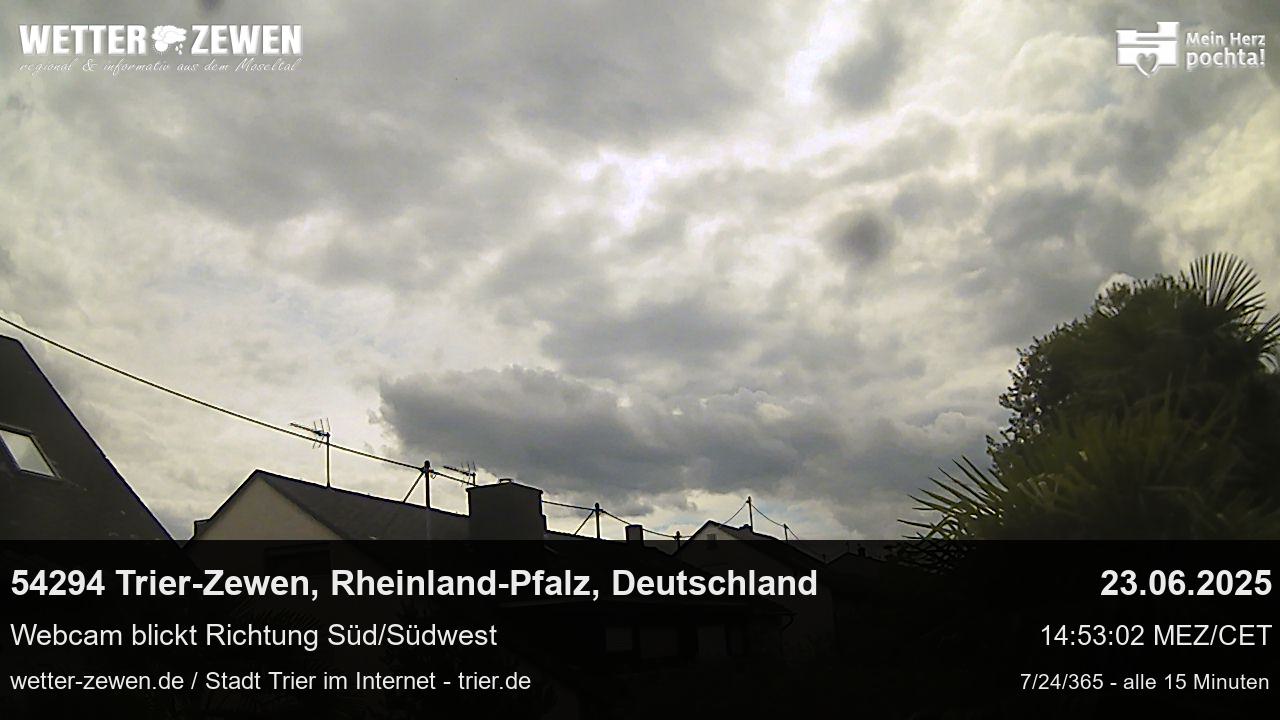 Bild