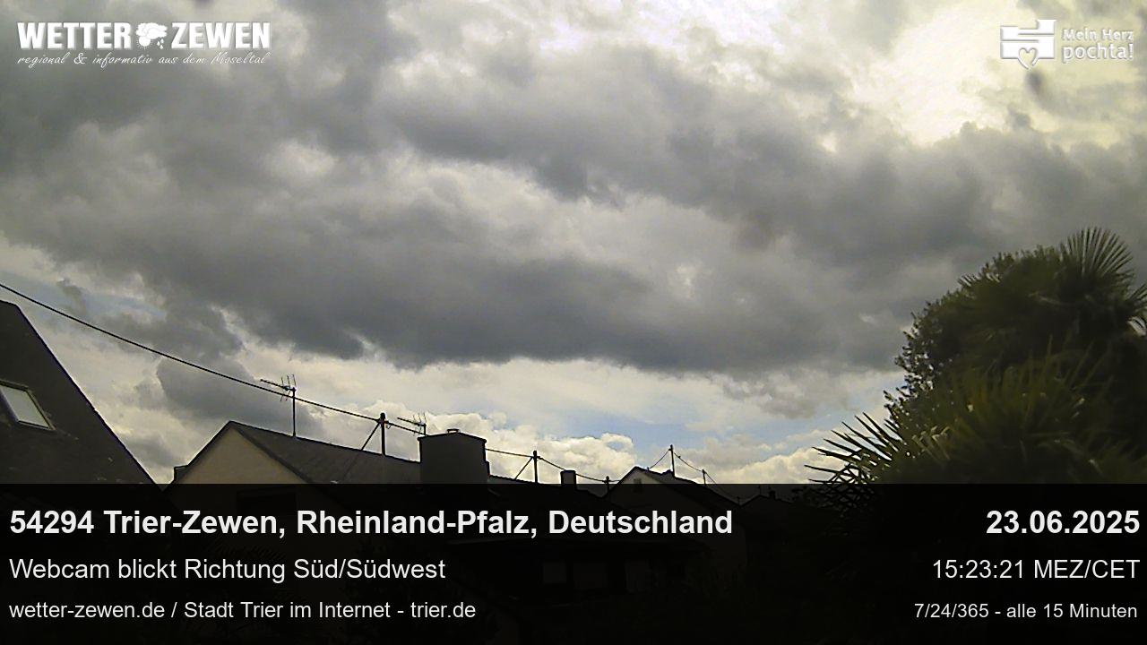 Bild