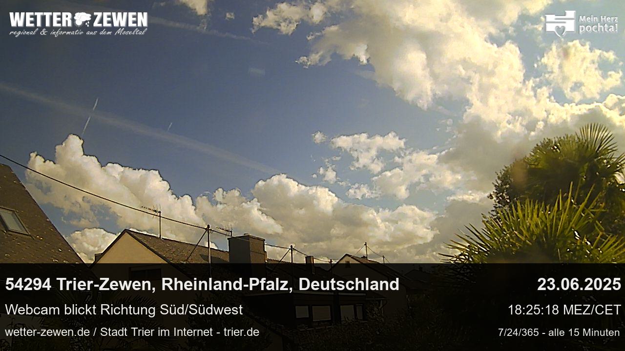 Bild