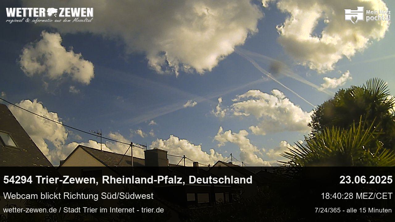 Bild