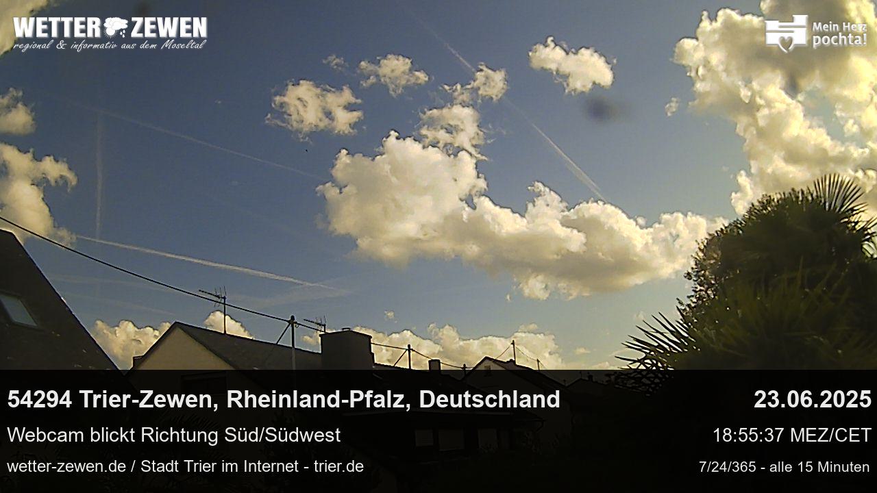 Bild