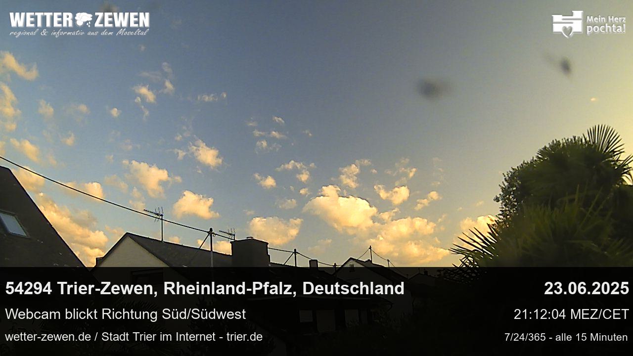 Bild