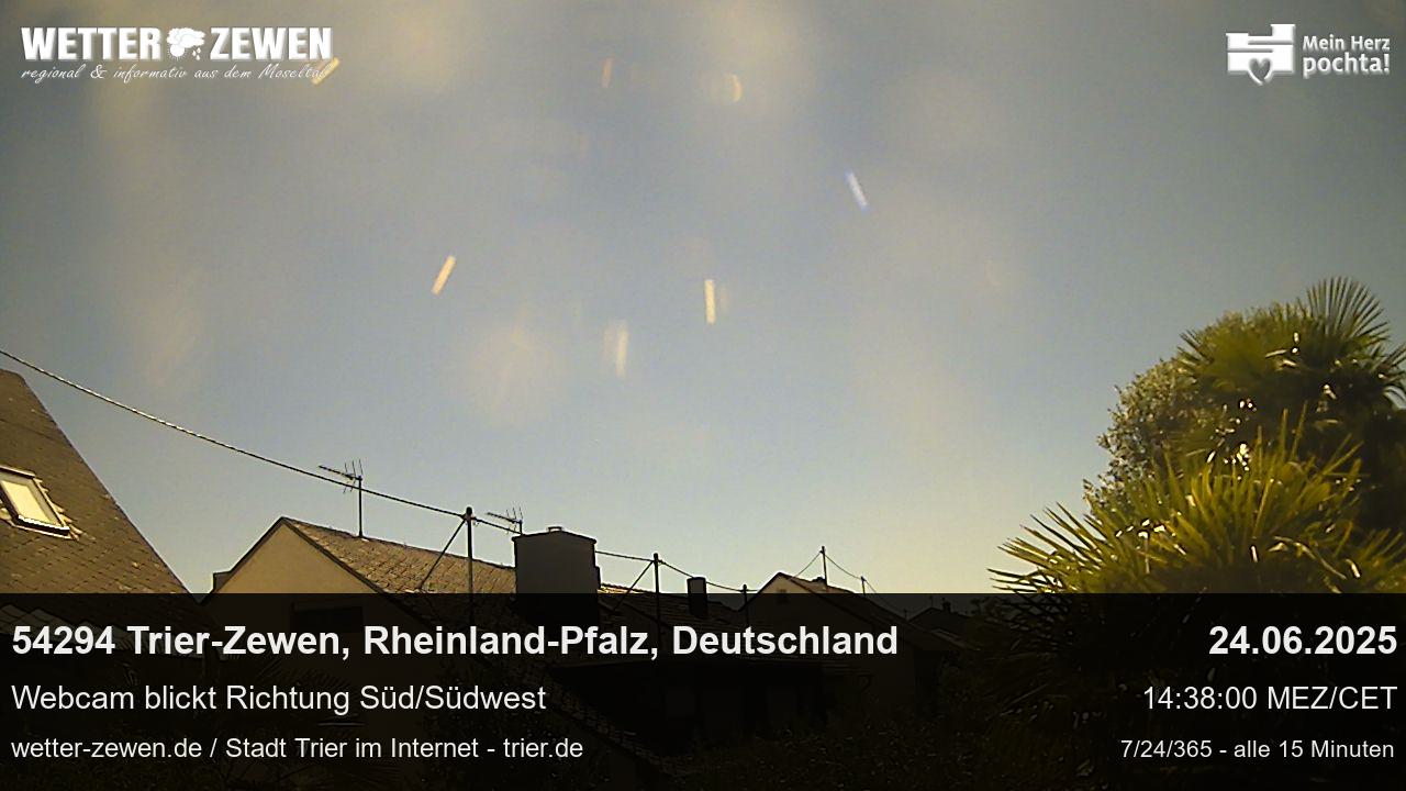 Bild