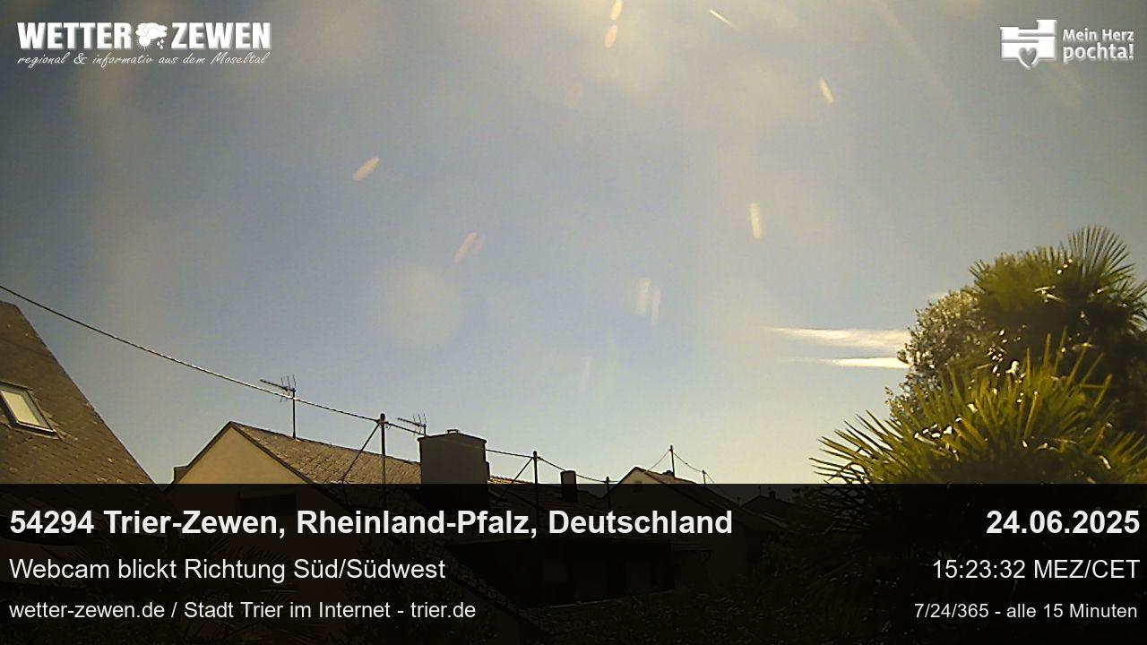 Bild